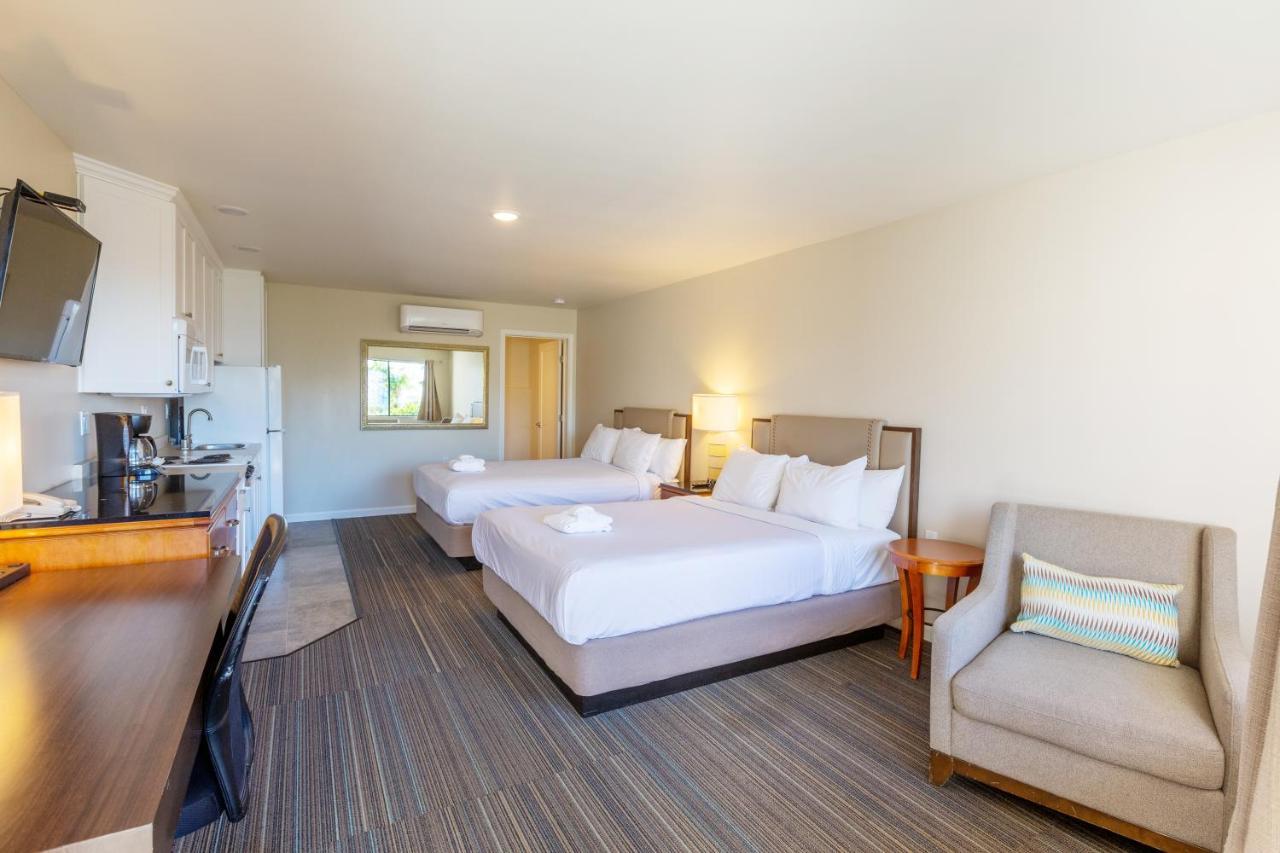 Moonlight Beach Motel エンシニータス エクステリア 写真